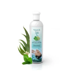 Parfum De Spa à Base D'huiles Essentielles D'Eucalyptus Et Menthe 250 Ml