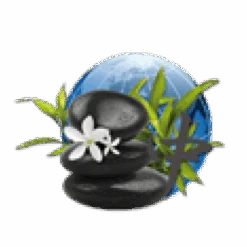 Parfum De Spa à Base D'huiles Essentielles Orient 250 Ml -Eau Minerale Magasin parfum spa huiles essentielles orient camylle 250 ml 2